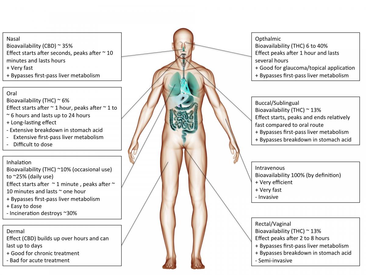 Route of administration GH Medical